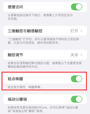 沈阳苹果授权维修站分享iPhone轻点无法唤醒怎么办 