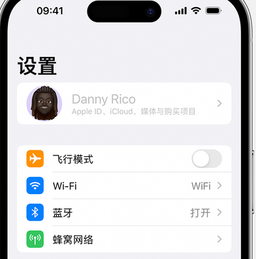 沈阳appleID维修服务iPhone设置中Apple ID显示为灰色无法使用 