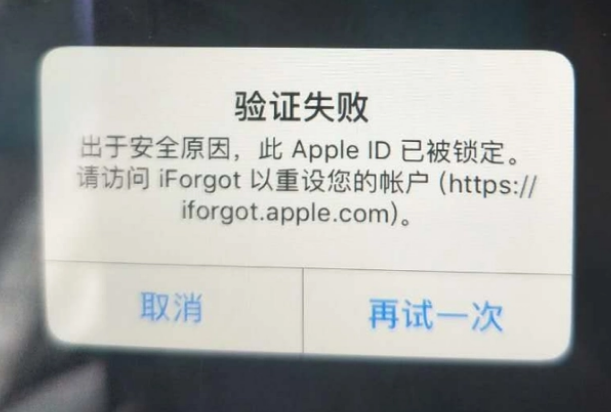 沈阳iPhone维修分享iPhone上正常登录或使用AppleID怎么办 