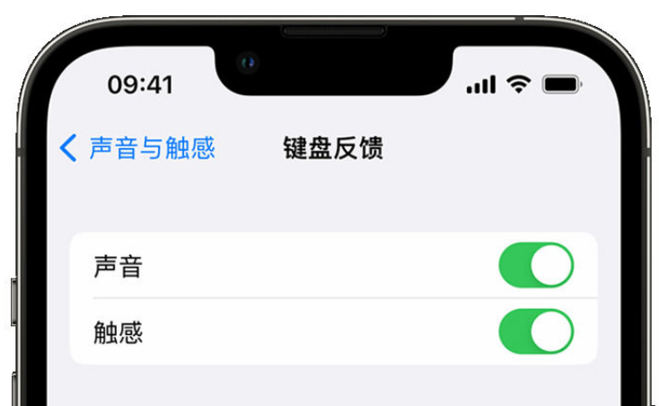沈阳苹果手机维修分享iPhone 14触感键盘使用方法 