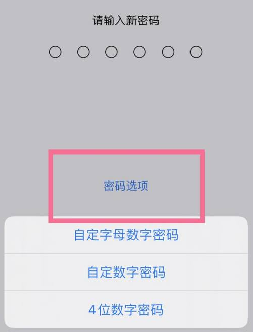 沈阳苹果14维修分享iPhone 14plus设置密码的方法 