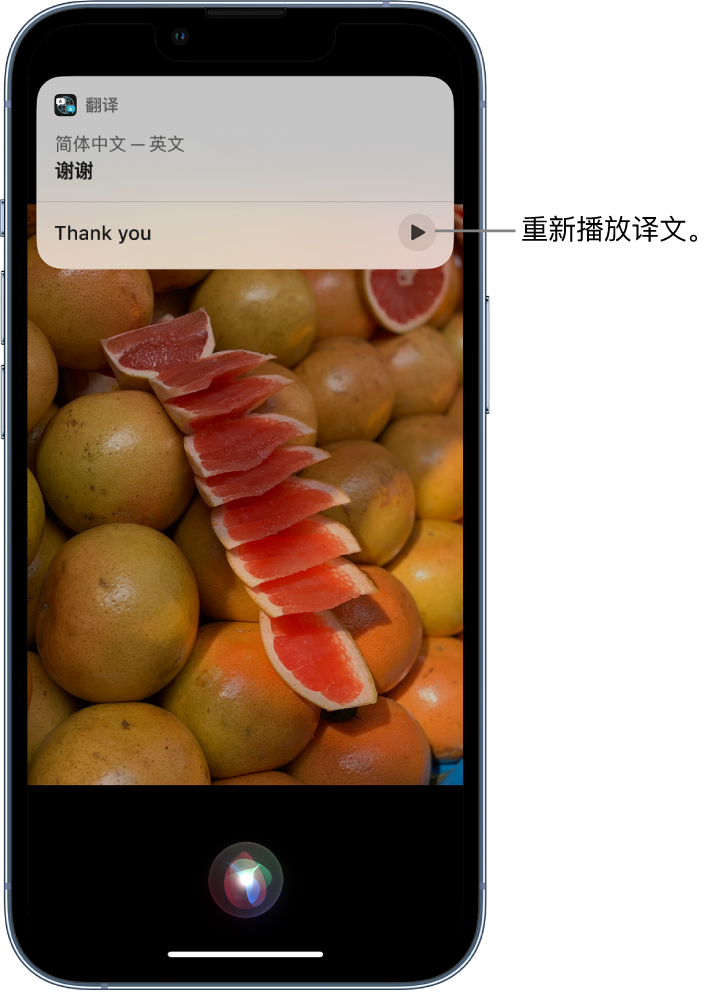 沈阳苹果14维修分享 iPhone 14 机型中使用 Siri：了解 Siri 能帮你做什么 