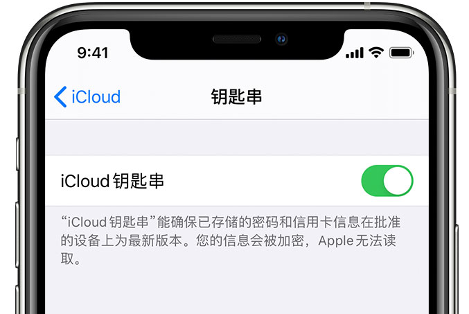 沈阳苹果手机维修分享在 iPhone 上开启 iCloud 钥匙串之后会储存哪些信息 