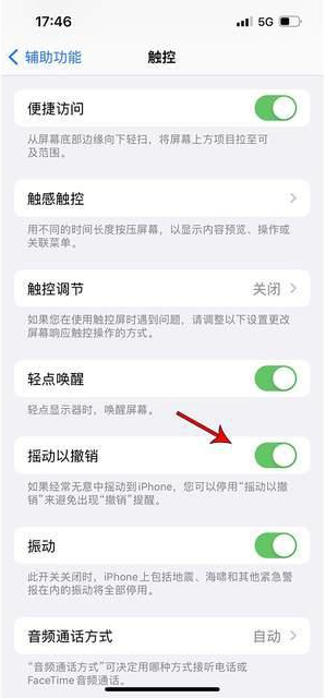 沈阳苹果手机维修分享iPhone手机如何设置摇一摇删除文字 