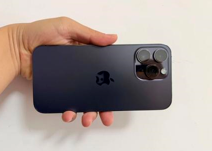 沈阳苹果维修点分享iPhone 14 Pro Max黑屏少见故障盘点 